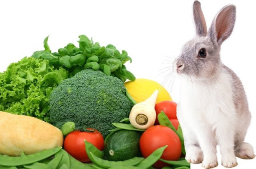 Can Rabbits Eat Cabbage? Learn about the risks and benefits of feeding them cabbage and how to do it safely for a happy, healthy bunny.