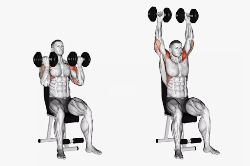 Arnold Presses vs Shoulder Press for optimal shoulder growth. Explore techniques, benefits, and differences to enhance your workout regimen.